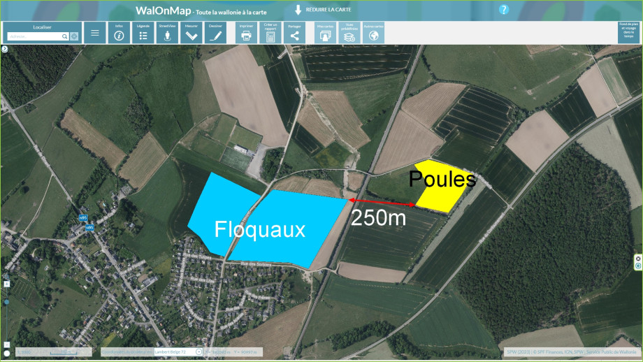 poules.jpg